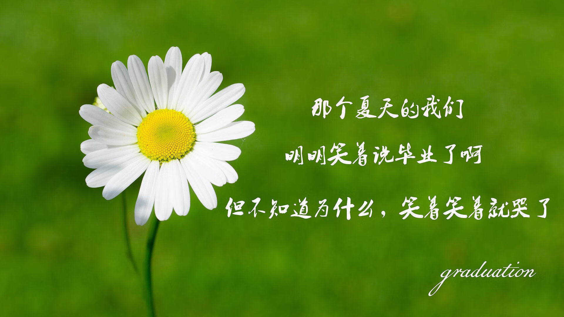 体育赛事品牌推广活动，体育赛事品牌打造