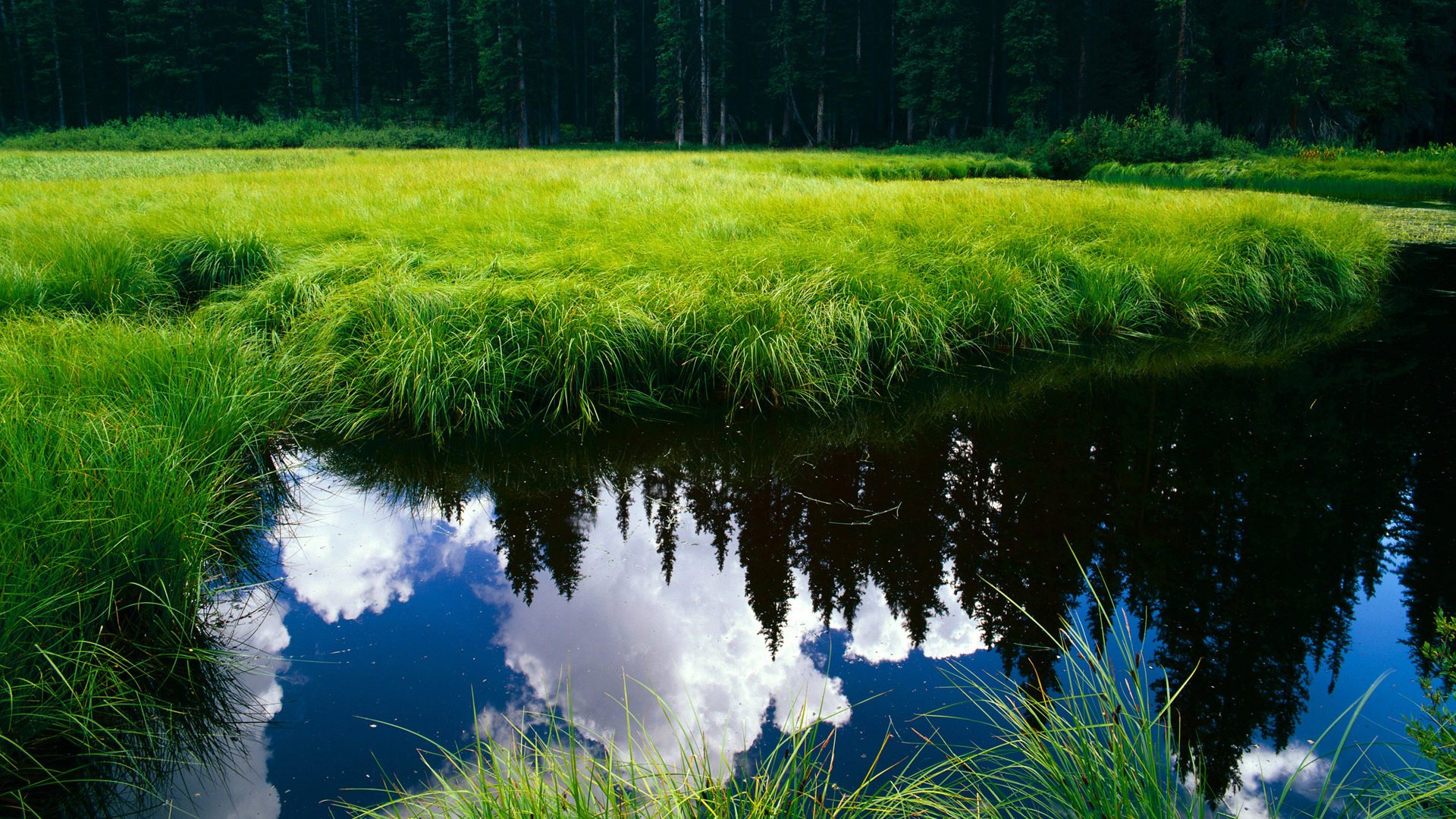 接力预赛美国轻松晋级 冠军热门，接力赛美国单独重赛